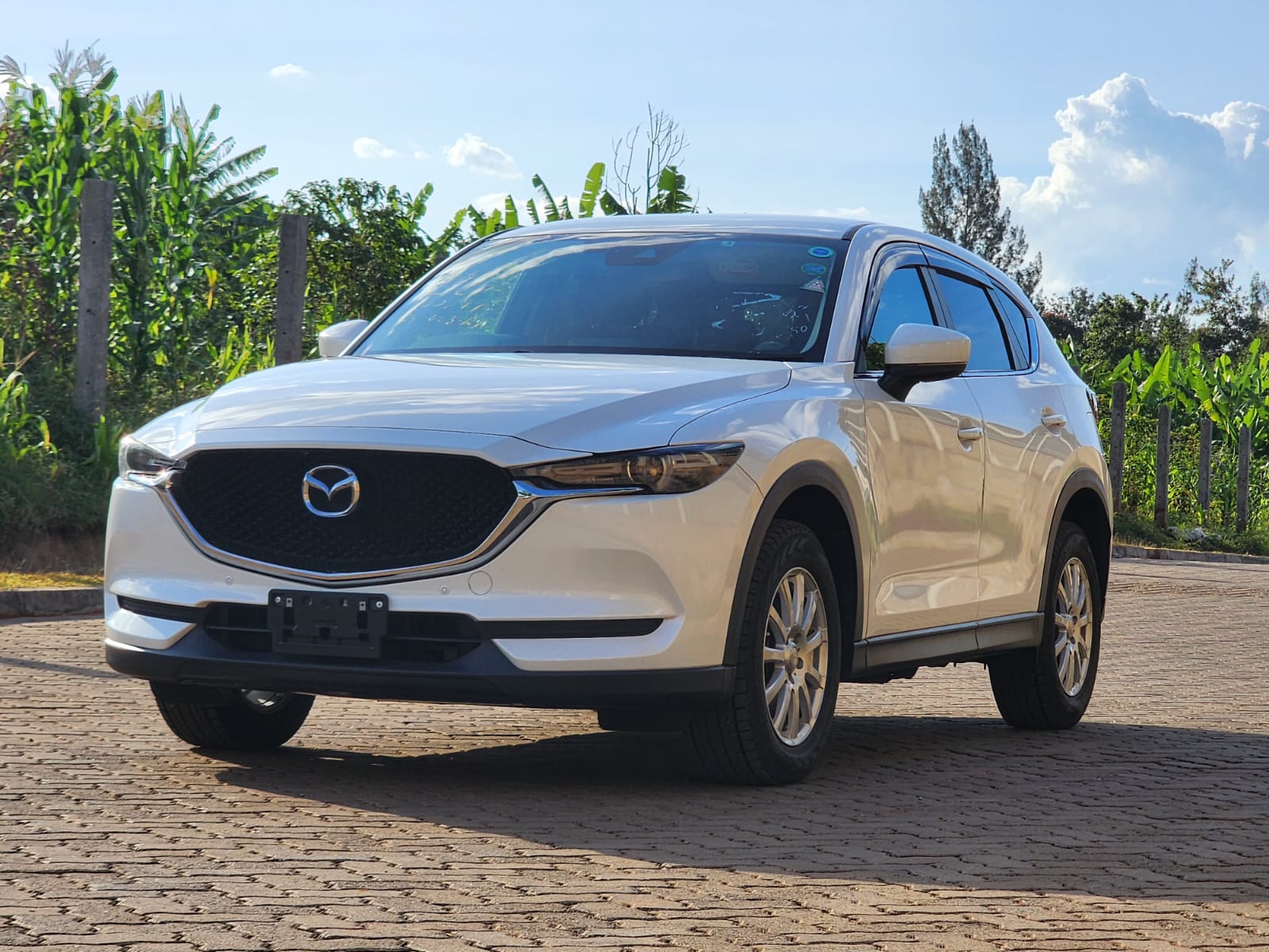 Why the Mazda CX-5 is Currently the Best-Selling SUV in Kenya